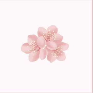 欧美大妈logo大全
