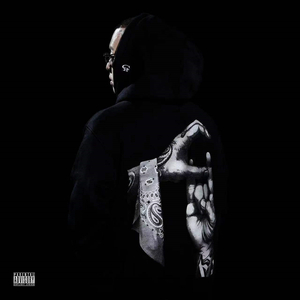 欧美大妈logo大全
